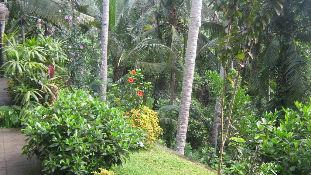 Mahanadewi Villa Ubud  Bilik gambar
