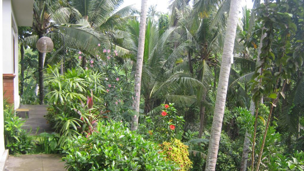 Mahanadewi Villa Ubud  Bilik gambar