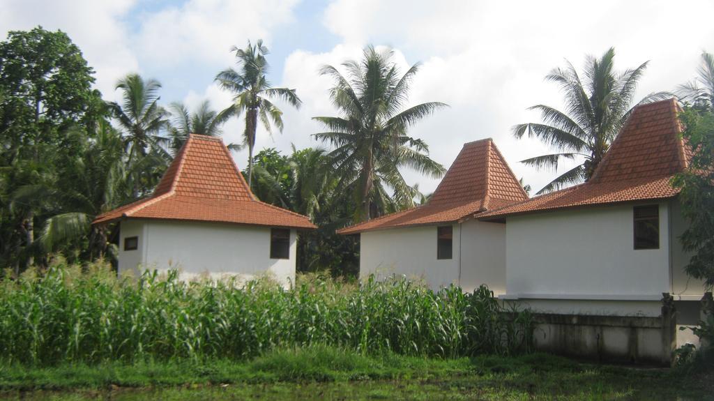 Mahanadewi Villa Ubud  Luaran gambar